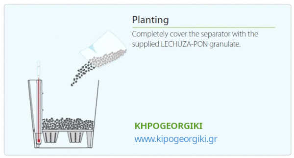 Initial Planting Phase